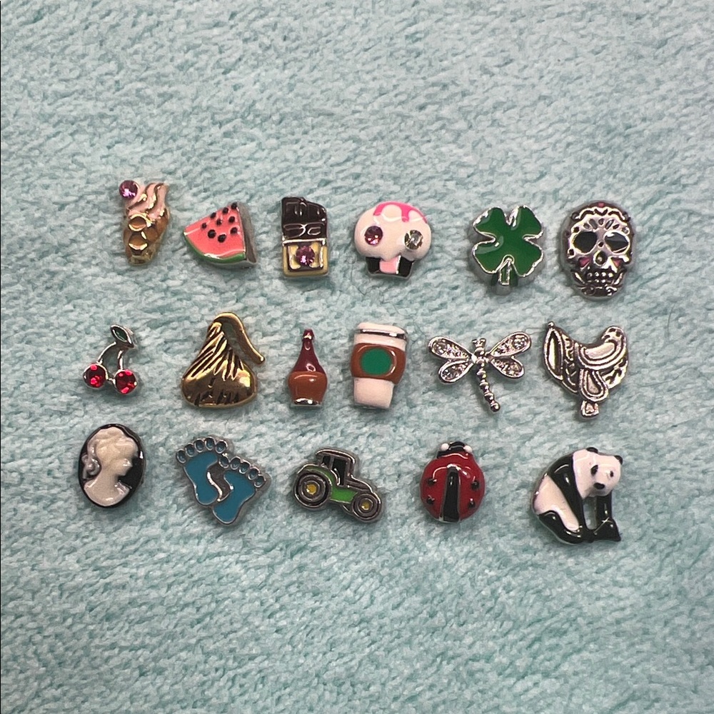 Floating Locket Charms